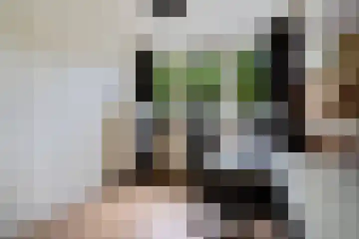Laan van het Kwekebos 75 Emmen thumbnail 22