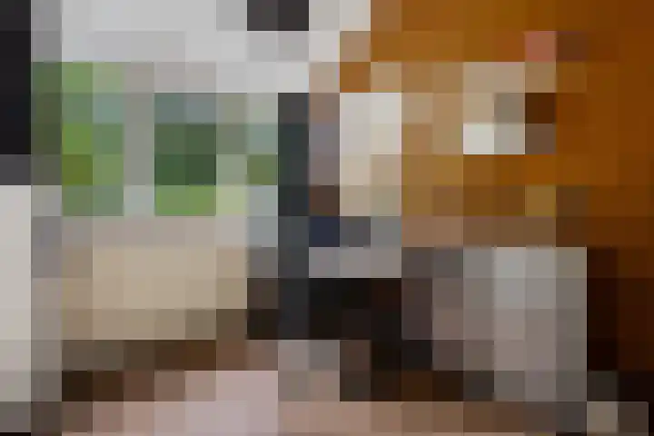 Laan van het Kwekebos 75 Emmen thumbnail 23