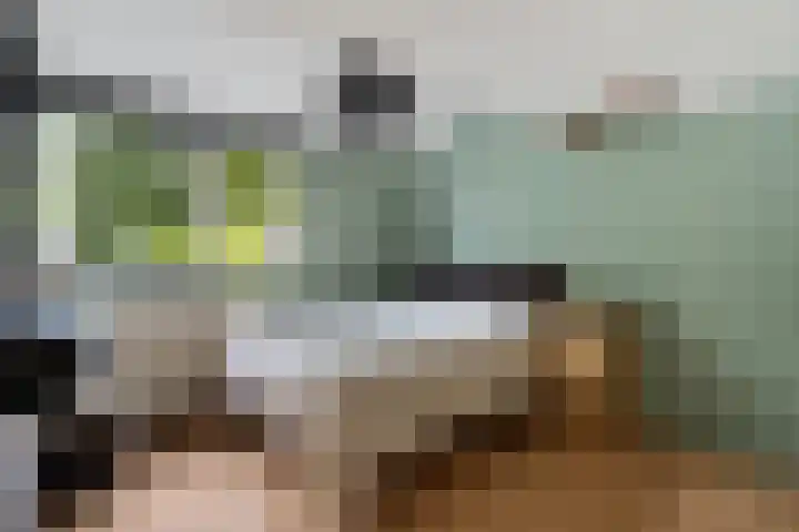Laan van het Kwekebos 75 Emmen thumbnail 25