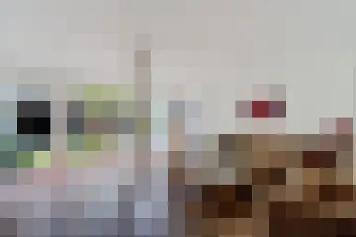 Laan van het Kwekebos 75 Emmen foto 3