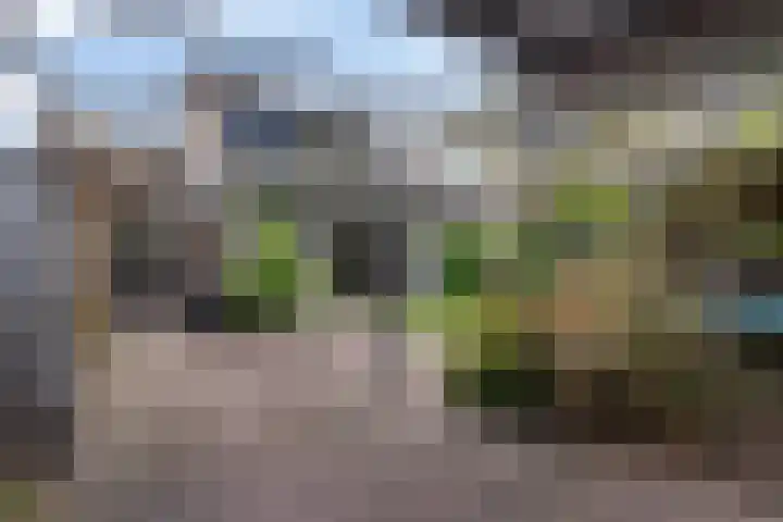 Laan van het Kwekebos 75 Emmen thumbnail 31