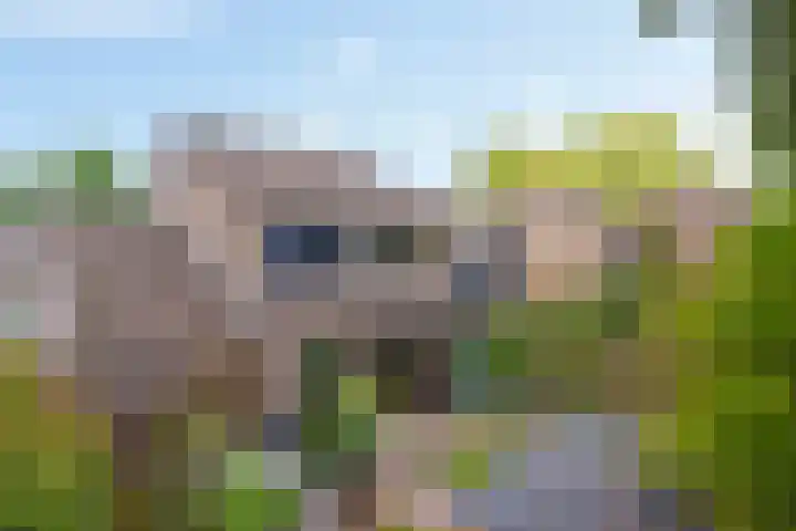 Laan van het Kwekebos 75 Emmen thumbnail 32