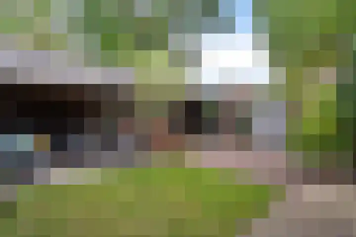 Laan van het Kwekebos 75 Emmen thumbnail 33
