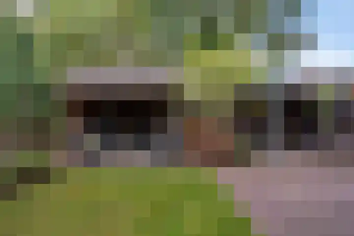 Laan van het Kwekebos 75 Emmen thumbnail 34
