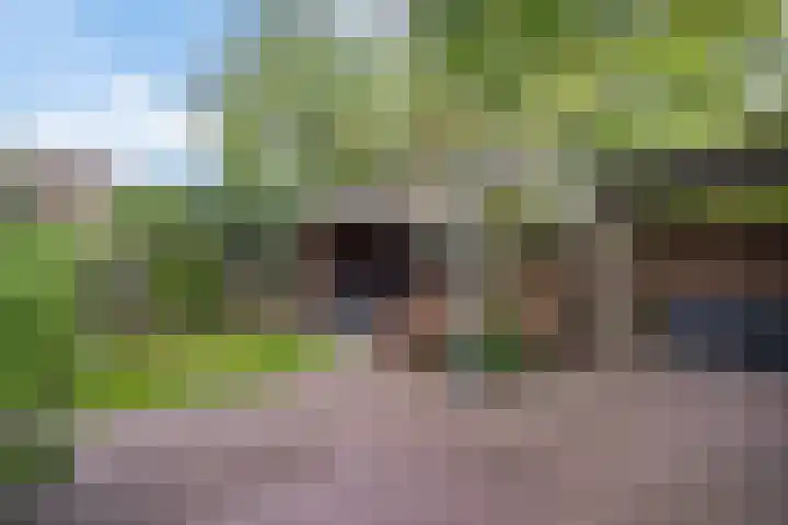 Laan van het Kwekebos 75 Emmen thumbnail 35