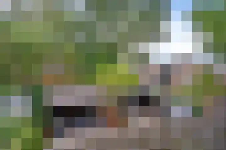 Laan van het Kwekebos 75 Emmen thumbnail 36