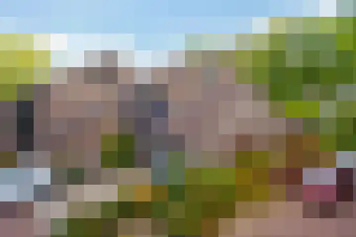 Laan van het Kwekebos 75 Emmen thumbnail 38