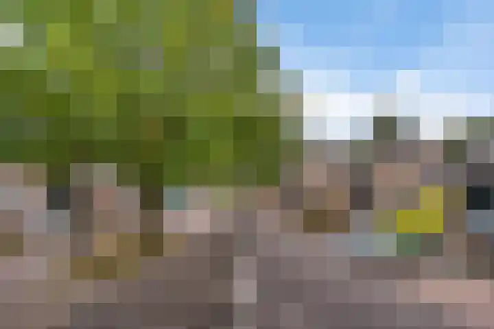 Laan van het Kwekebos 75 Emmen thumbnail 39