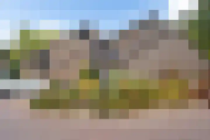 Laan van het Kwekebos 75 Emmen thumbnail 41