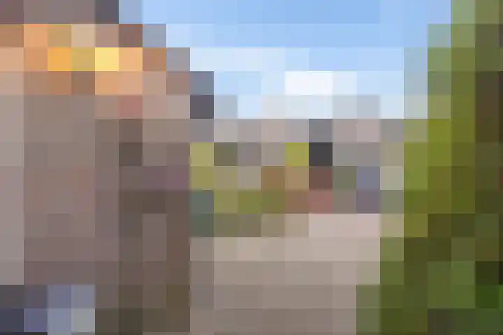 Laan van het Kwekebos 75 Emmen thumbnail 42