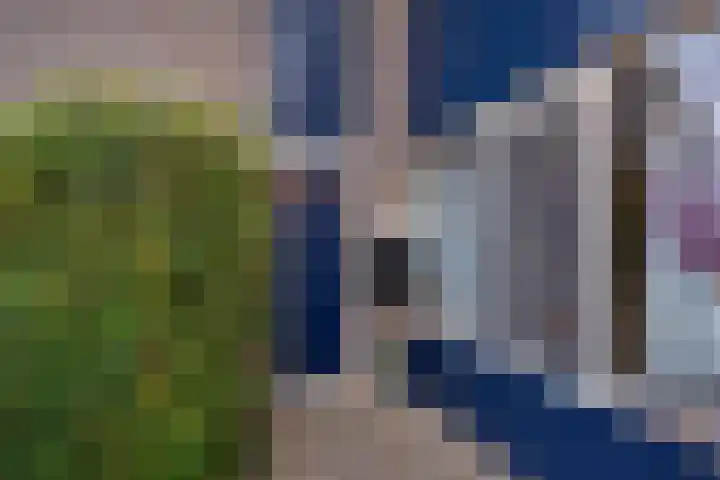 Laan van het Kwekebos 75 Emmen thumbnail 43