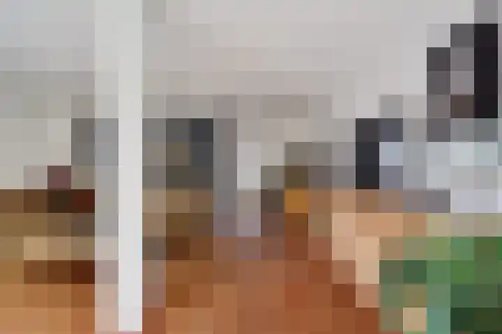 Laan van het Kwekebos 75 Emmen thumbnail 6