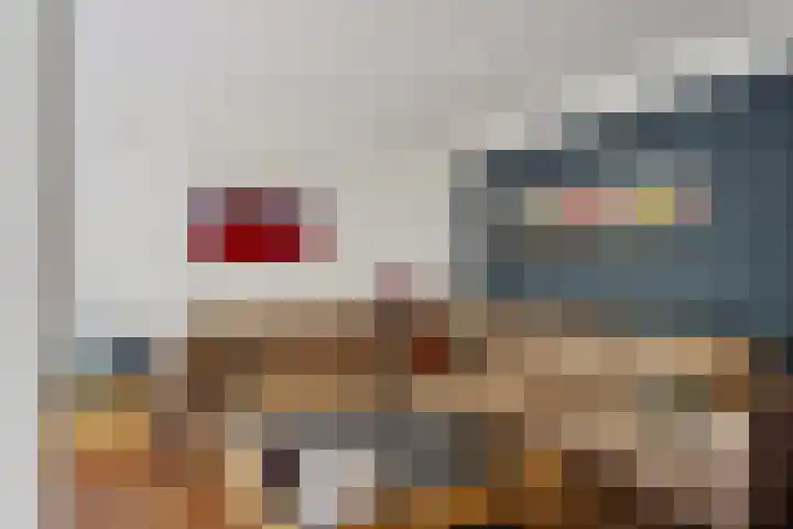 Laan van het Kwekebos 75 Emmen thumbnail 7