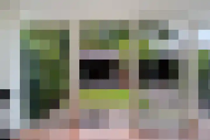 Laan van het Kwekebos 75 Emmen thumbnail 8