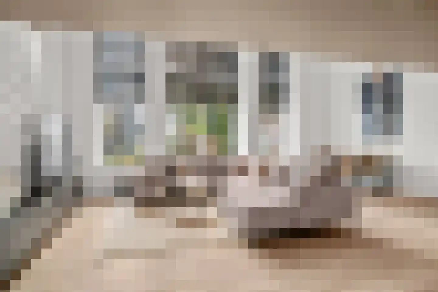 Laan van Hilbelink 11 01 Winterswijk thumbnail 4