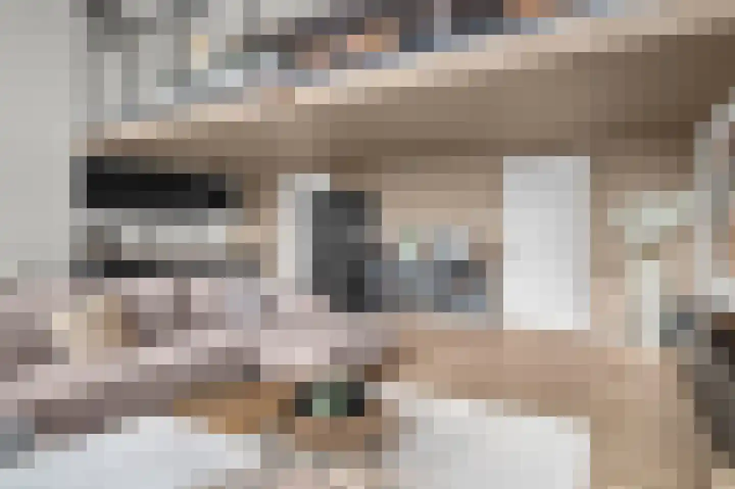 Laan van Hilbelink 11 01 Winterswijk thumbnail 6