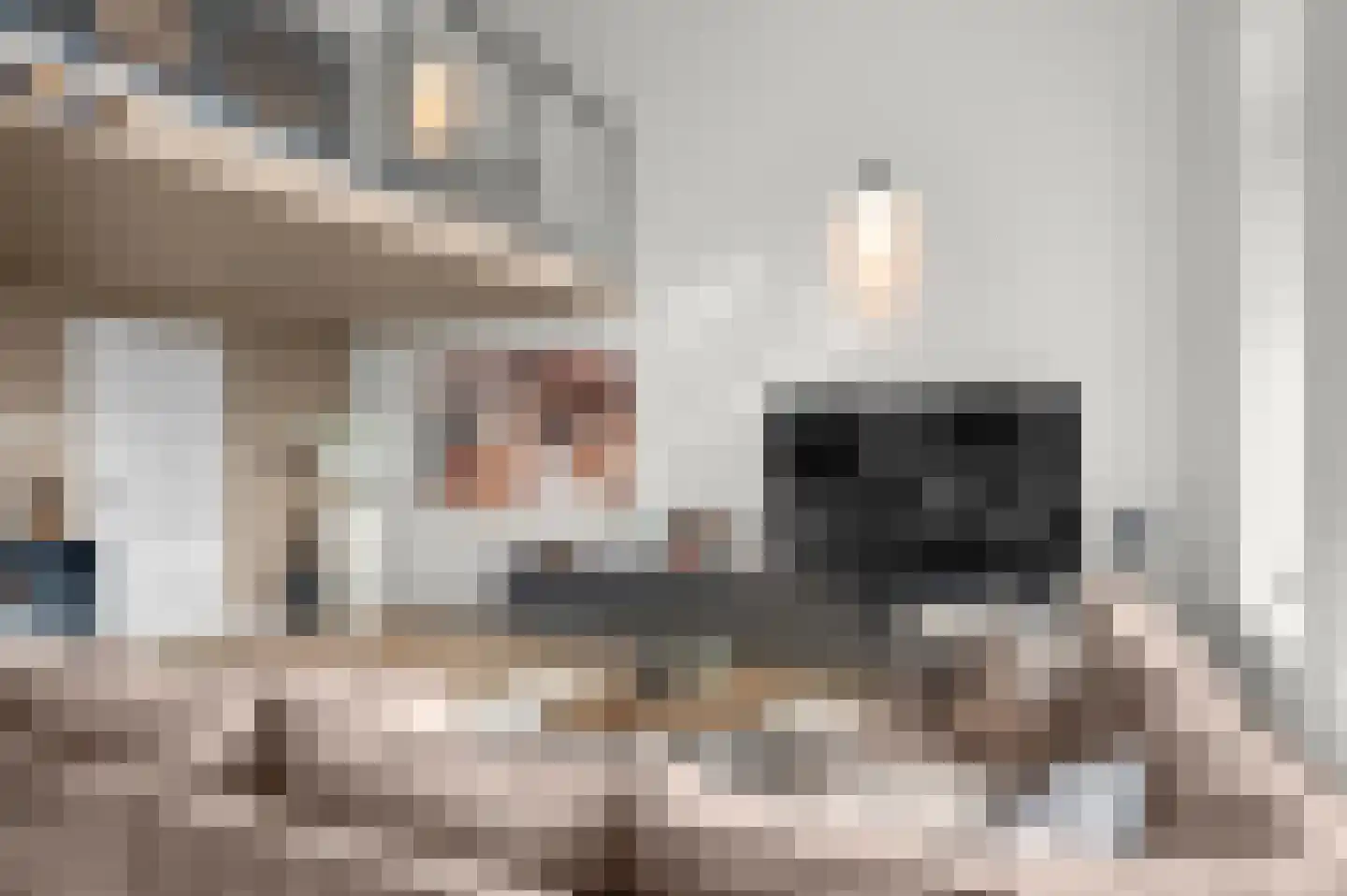 Laan van Hilbelink 11 01 Winterswijk thumbnail 8