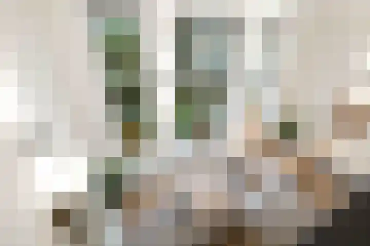 Laan van Hilbelink 11 05 Winterswijk thumbnail 18
