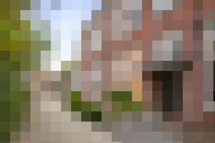 Laan van Hilbelink 11 05 Winterswijk thumbnail 21