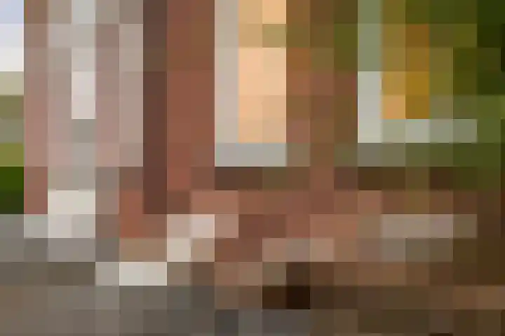 Laan van Hilbelink 11 05 Winterswijk thumbnail 22