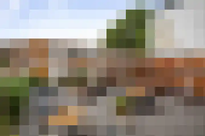 Laan van Hilbelink 11 05 Winterswijk thumbnail 28