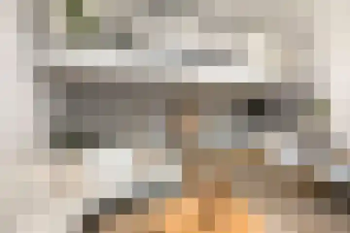 Laan van Hilbelink 11 05 Winterswijk thumbnail 6