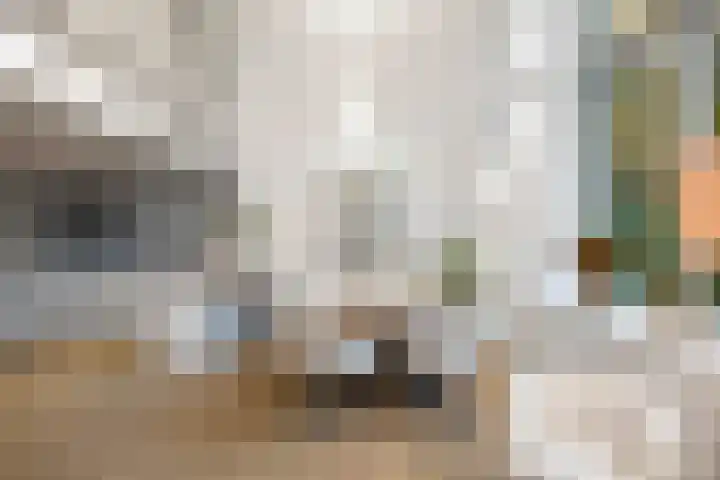Laan van Hilbelink 11 05 Winterswijk thumbnail 7
