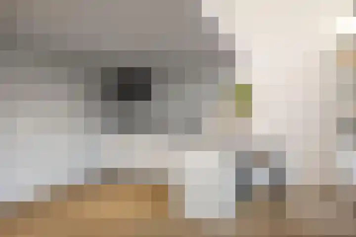 Laan van Hilbelink 11 05 Winterswijk thumbnail 8