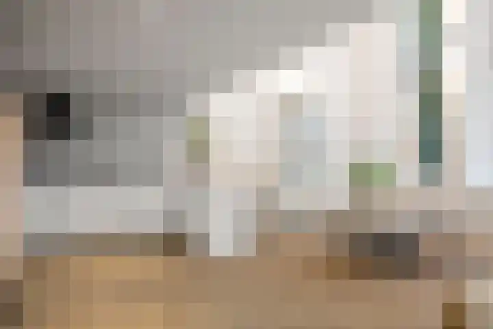 Laan van Hilbelink 11 05 Winterswijk thumbnail 9