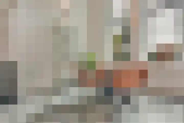 Laan van Hilbelink 11 06 Winterswijk thumbnail 11