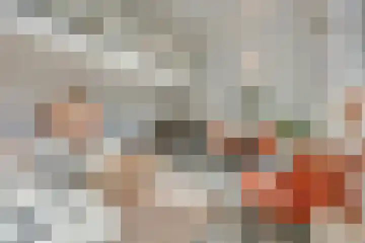Laan van Hilbelink 11 06 Winterswijk thumbnail 12