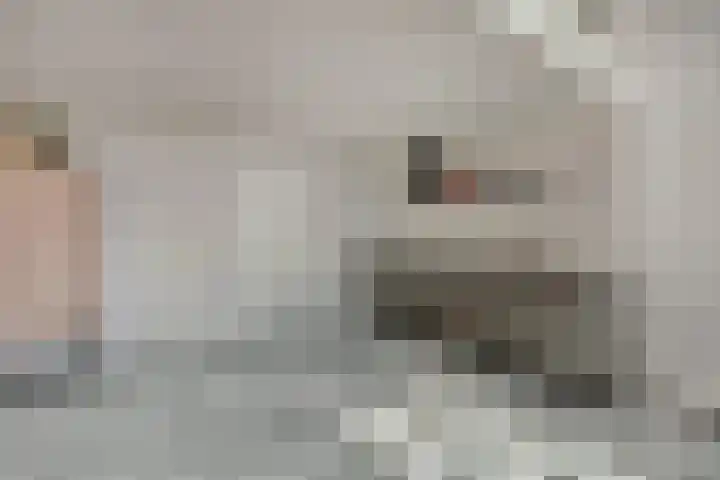 Laan van Hilbelink 11 06 Winterswijk thumbnail 14