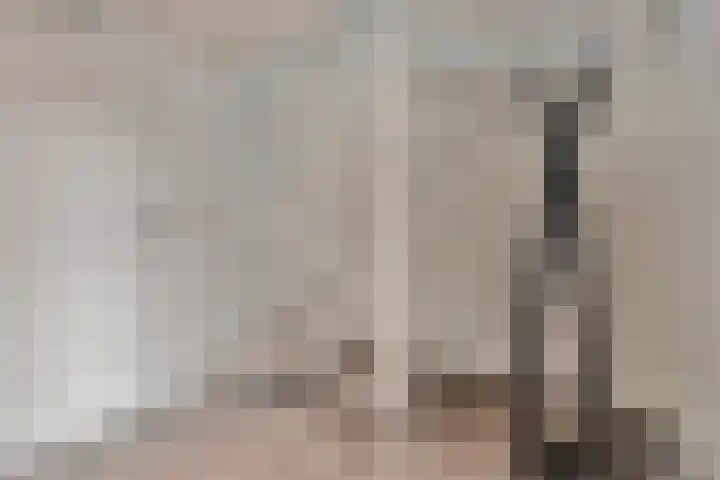 Laan van Hilbelink 11 06 Winterswijk thumbnail 23