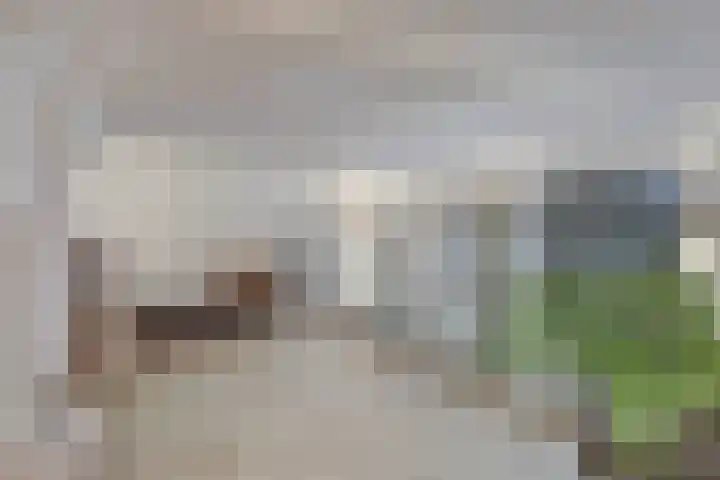 Laan van Hilbelink 11 06 Winterswijk thumbnail 24