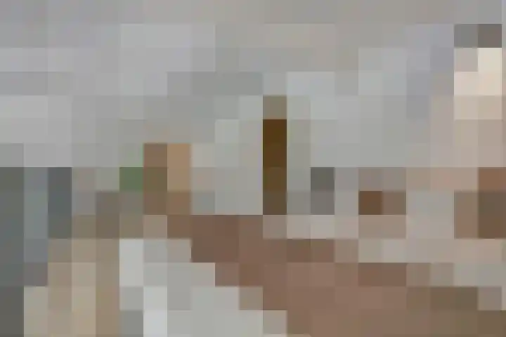 Laan van Hilbelink 11 06 Winterswijk thumbnail 26