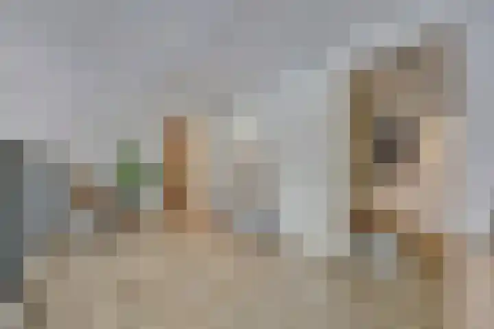 Laan van Hilbelink 11 06 Winterswijk thumbnail 27