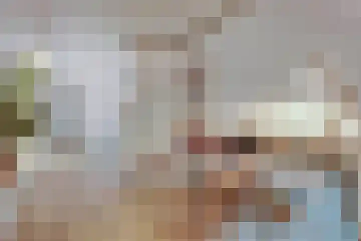 Laan van Hilbelink 11 06 Winterswijk thumbnail 30