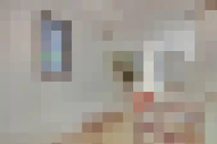 Laan van Hilbelink 11 06 Winterswijk thumbnail 31