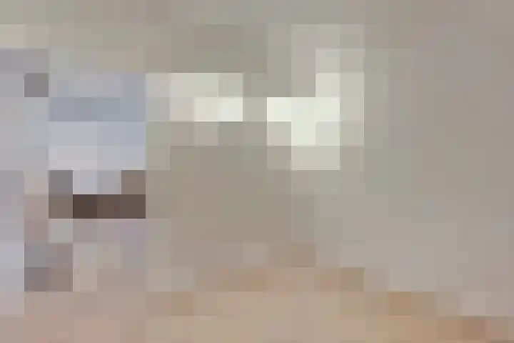 Laan van Hilbelink 11 06 Winterswijk thumbnail 32