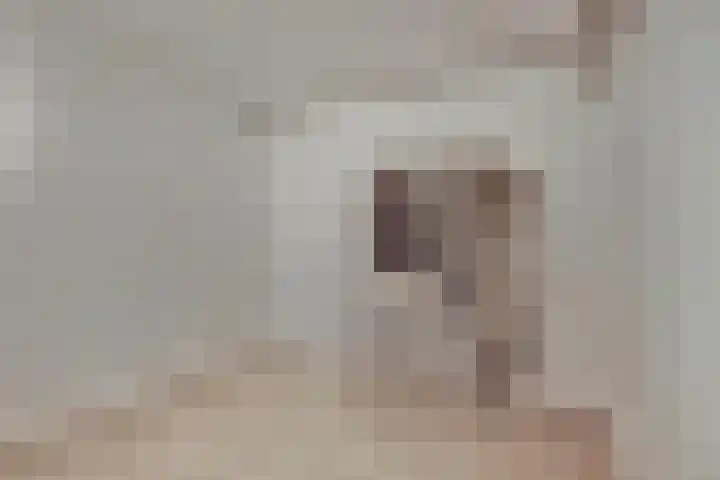 Laan van Hilbelink 11 06 Winterswijk thumbnail 33