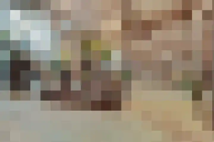 Laan van Hilbelink 11 06 Winterswijk thumbnail 36