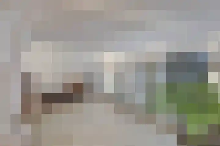 Laan van Hilbelink 11 06 Winterswijk thumbnail 4