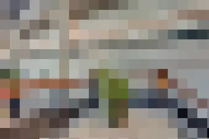 Laan van Hilbelink 11 06 Winterswijk thumbnail 43