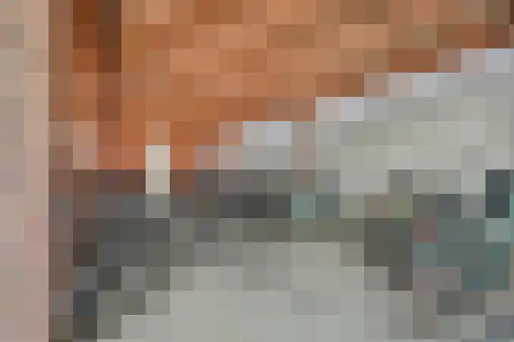 Laan van Hilbelink 11 06 Winterswijk thumbnail 48