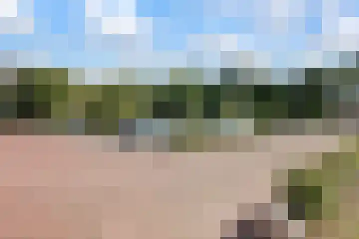 Laan van Hilbelink 11 06 Winterswijk thumbnail 49