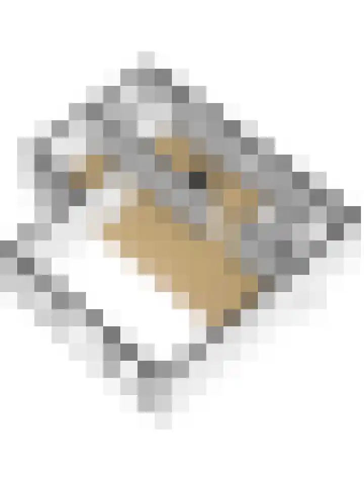 Laan van Hilbelink 11 06 Winterswijk thumbnail 57