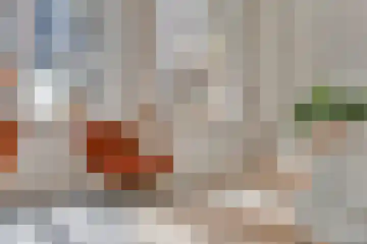 Laan van Hilbelink 11 06 Winterswijk thumbnail 9