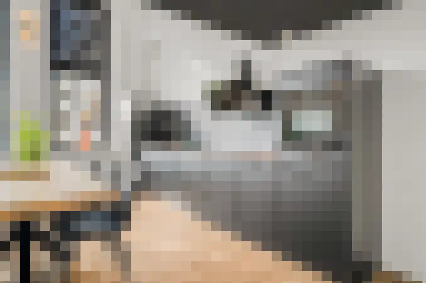 Laan van Hilbelink 11 12 Winterswijk thumbnail 8
