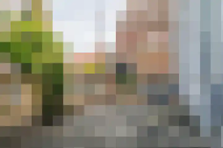 Laan van Hilbelink 11 22 Winterswijk thumbnail 10
