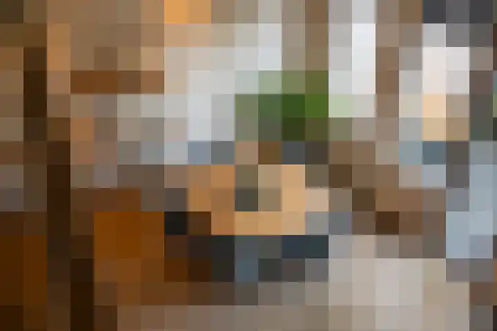 Laan van Hilbelink 11 22 Winterswijk thumbnail 7